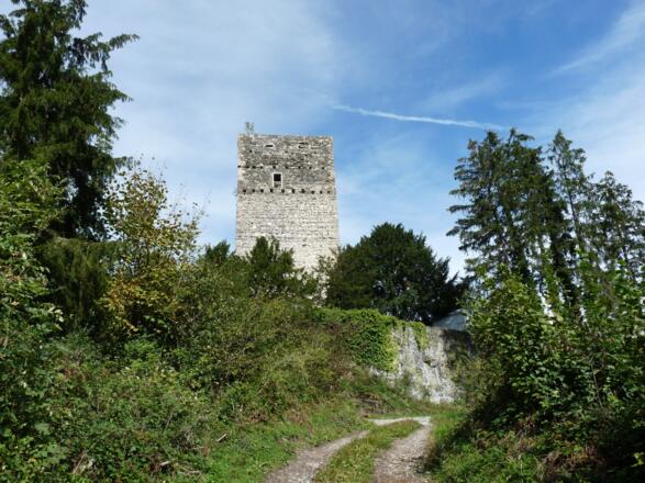 Burgruine Tosters