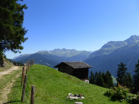 Fulateia mit Maisäßlandschaft