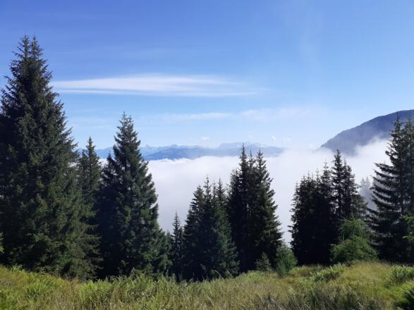 zwischen Ederalm und Salzburgerhütte