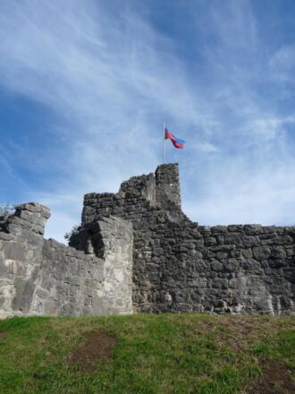 Burgruine Neu-Schellenberg (Obere Schellenberg, Hinterschloss)