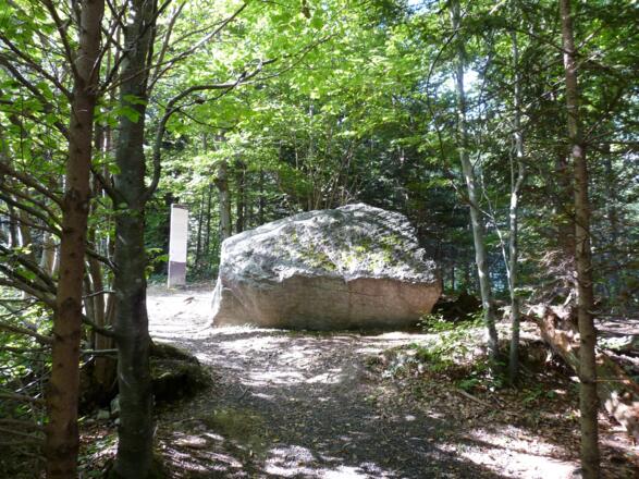 Der Findling am Gantenstein