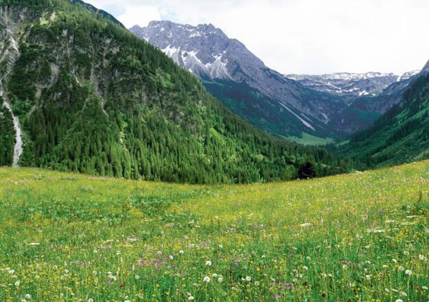 Blick ins Gemsteltal