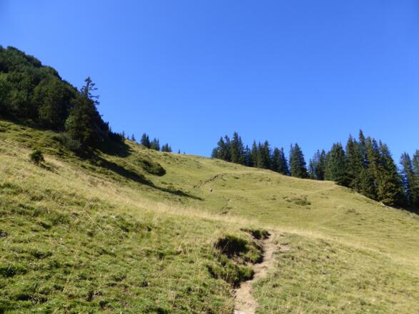 Wiesenweg Richtung Obere Wies