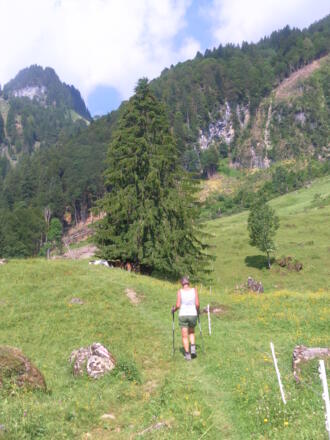 Doseggweide zum Graben