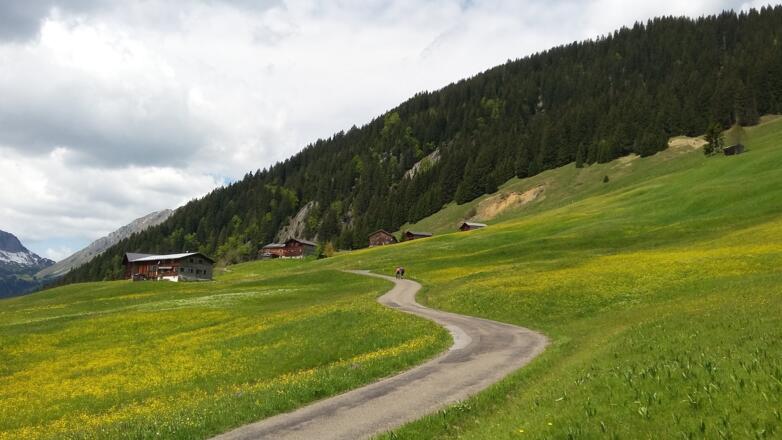 Abfahrt durch das Berbigen Vorsäß