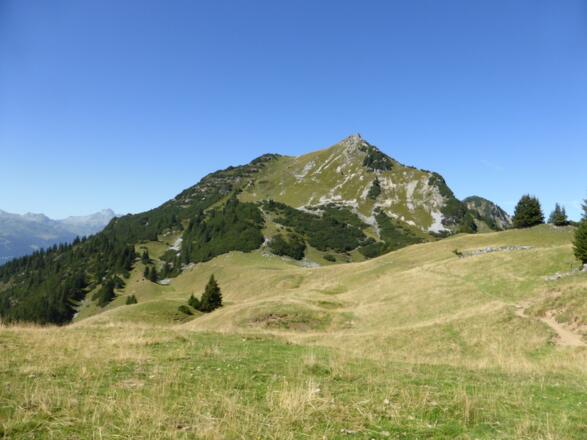Obere Wies mit Blick auf den Alpilakopf