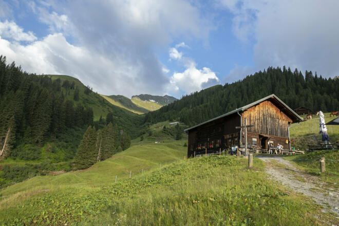 Alpe Rongg (c) Lucas Tiefenthaler / Vorarlberg Tourismus