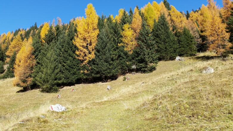 Gleich Anstieg Richtung Jakoberalm