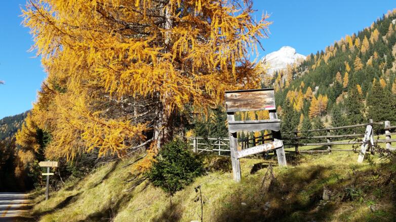 Startpunkt - gegenüber ist der Parkplatz