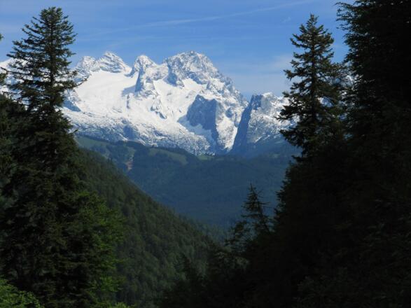 Sicht zum nahen Dachstein