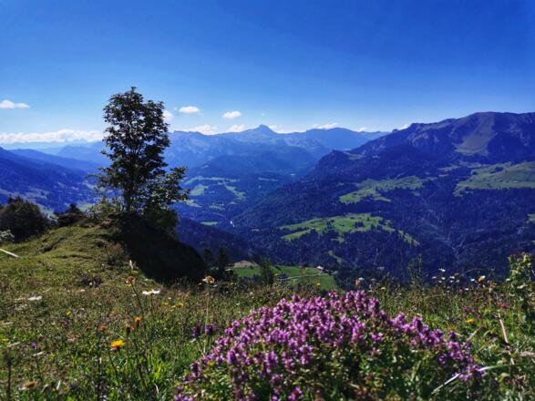 Auf dem Weg zum Hittisberg