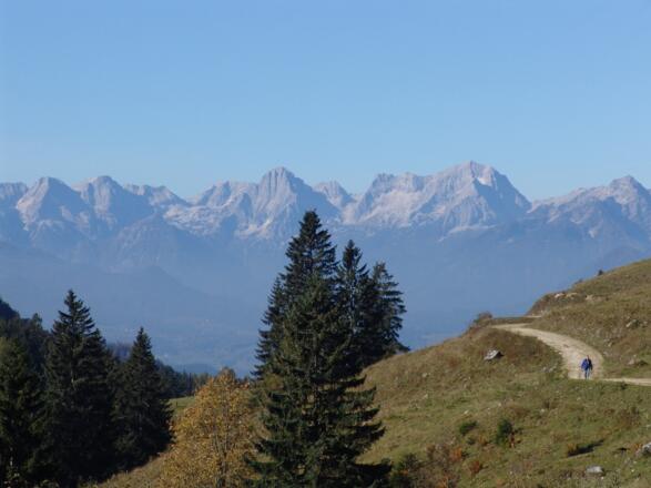 Ein Blick ins Tote Gebirge eröffnet sich bei der Hanslalm
