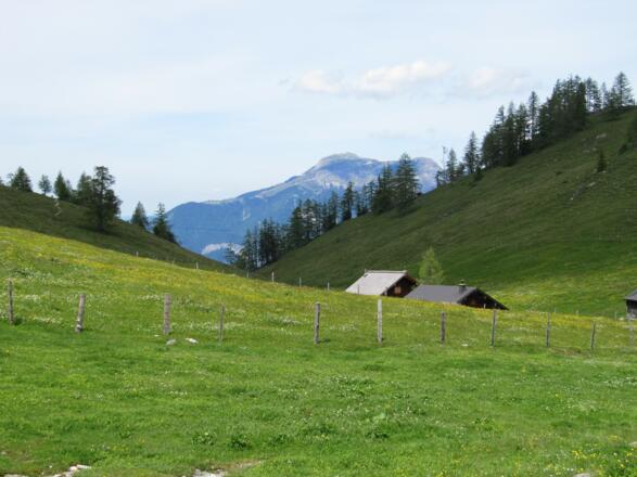 Von der Wiesleralm Sicht zum Schafberg