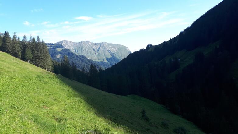 Kanisfluh im Hintergrund