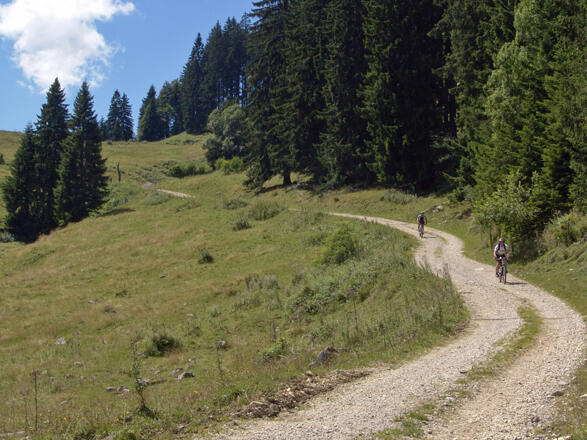 Abfahrt von der Ebenforstalm ins Reichraminger Hintergebirge