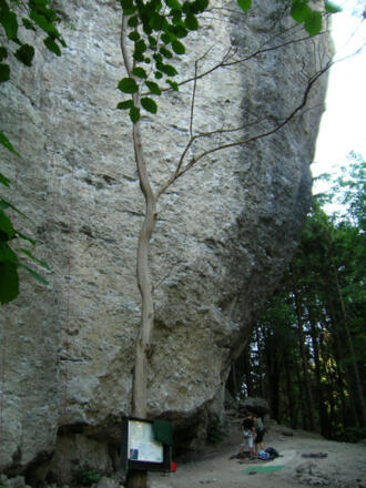 Klettern am Eingang der Bürser Schlucht