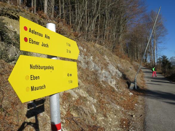 Unsere Ziele: &quot;Astenau Alm&quot; und &quot;Ebner Joch&quot;.