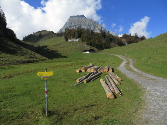 unterhalb der Einödalm