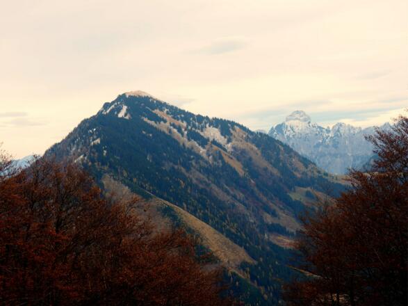 Blick vom Menauer Sattel 1380m zum Maiereck und Kl.Buchstein