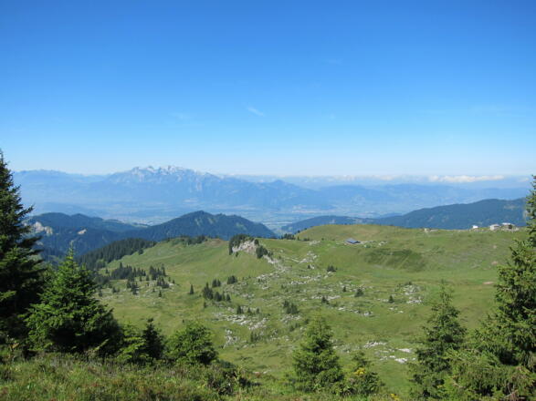 Zum Hohen Freschen (21. August 2013)