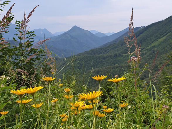 Gaißhansl mit Blick in die Breitenau © MiE