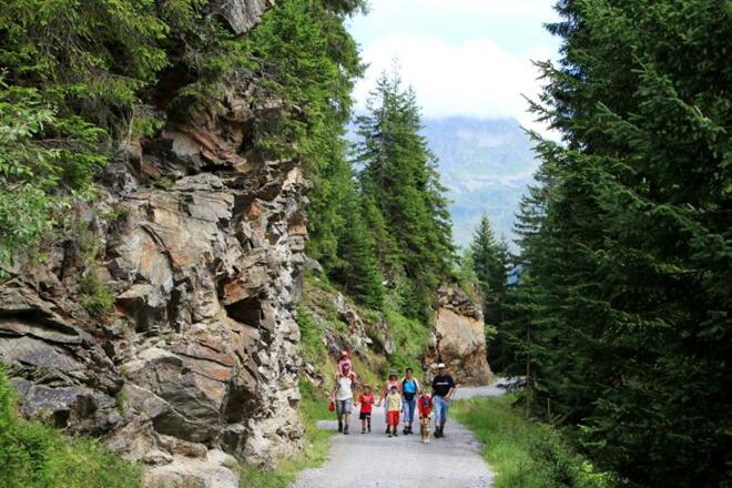 Wandergruppe auf dem Weg zum Wildried