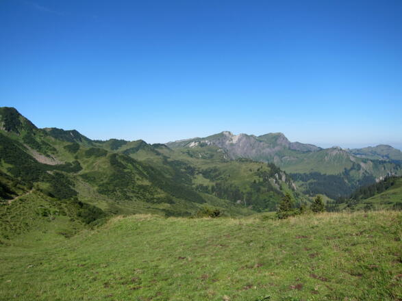 Zum Hohen Freschen (21. August 2013)