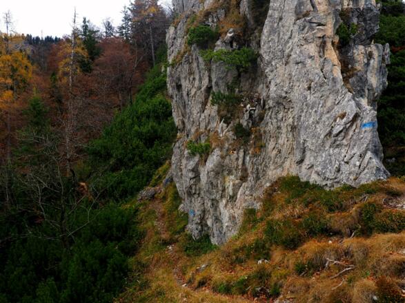 Rumpelmarsteig um 1080 m, flaches Teilstück
