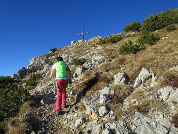 ... lösen sich auch die Latschenfelder auf - 