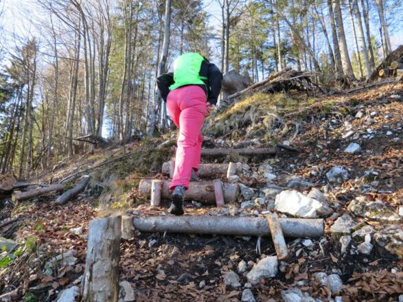 ... gut gewartet ...