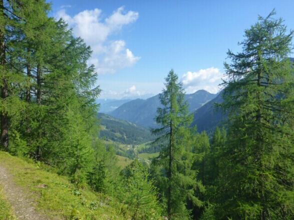 Blick zurück auf den Weg von dem wir gekommen sind