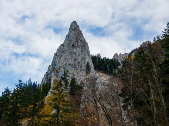 zum ersten Mal ist der Seeturm zu erkennen