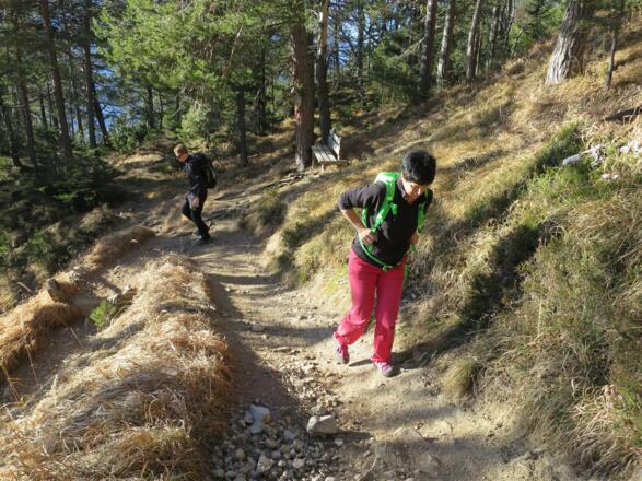 Der gesamte Anstieg ...