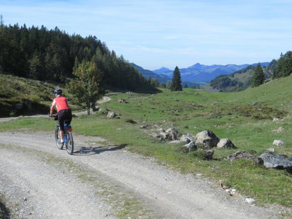 Kurze Abfahrt zur Sprissleralm