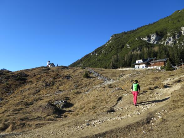 Die Astenau Alm liegt knapp oberhalb der Baumgrenze - tolle Aussicht, Speis und Trank! 