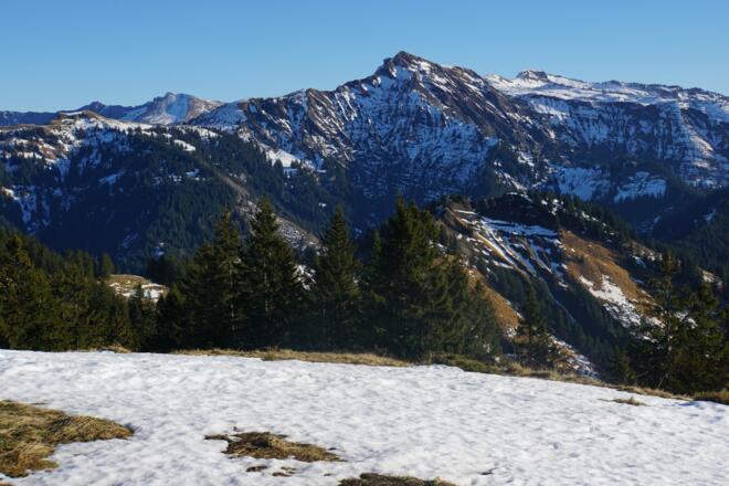 Blick zum Hohen Freschen