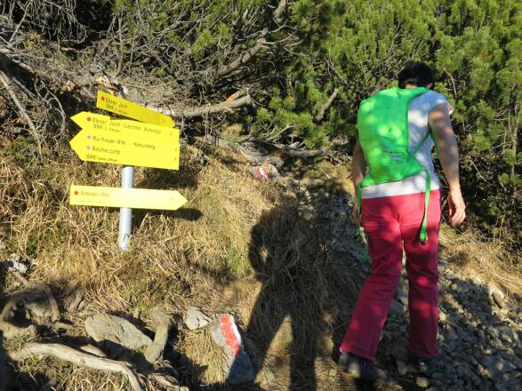 An der Weggabelung zur Buchauer Alm - eine Möglichkeit, die Tour als Rundtour zu gestalten: Nach dem Gipfel über den Huber Steig zur Buchauer Alm und dann nach Eben absteigen.