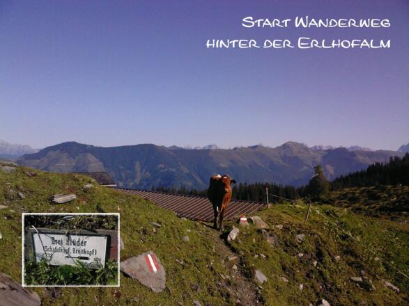 Start Wanderweg hinter der Erlhofalm