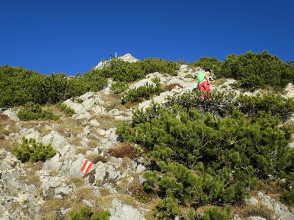 Knapp unterhalb des Gipfels ...