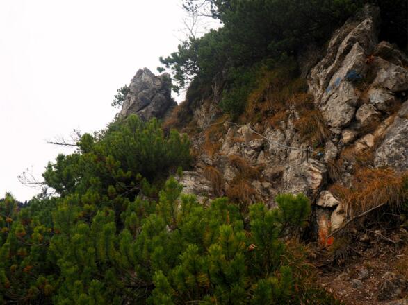 Rumpelmayrsteig vor dem Karlkreuz ~1200m