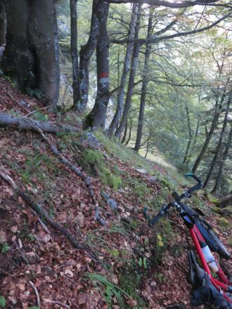 nur nicht abrutschen!!!