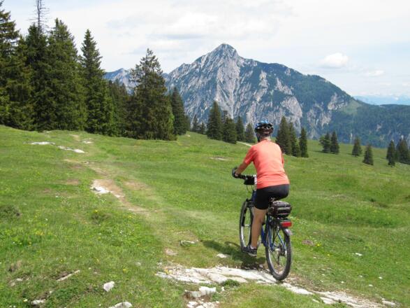 Kurzer Trail zur Wieseralm
