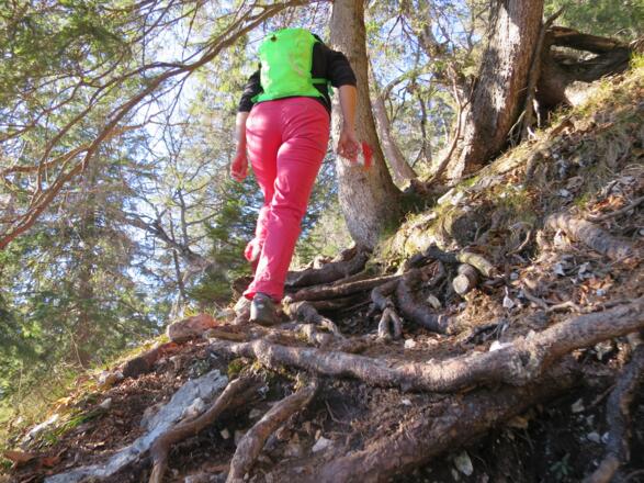 Hin und wieder über Wurzelwerk - schwieriger wird`s nicht.