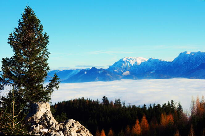 Schabenreitnerstein 1143m