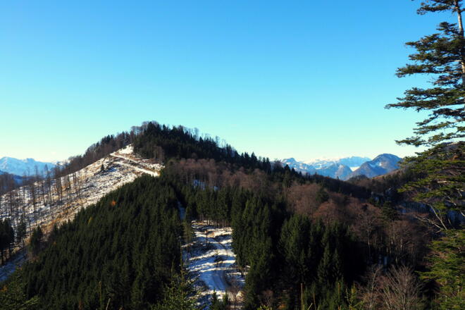 Gamsenbrand 1246m vom Mittagstein