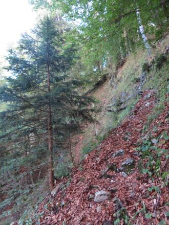kniffliger Trail bzw. Schiebestrecke ins Kohlalmtal