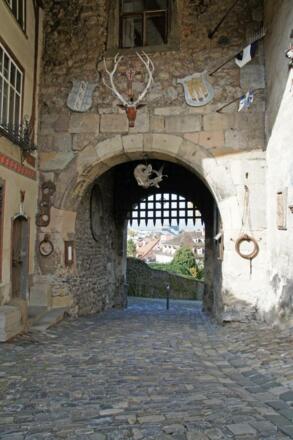 Das Stadttor mit Blick über Bregenz