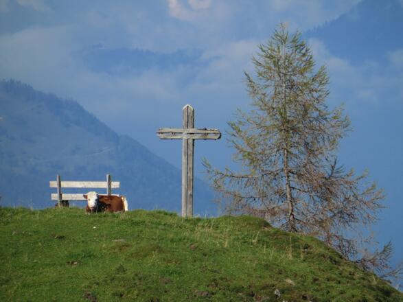 Almkreuz unterhalb der Maukalm
