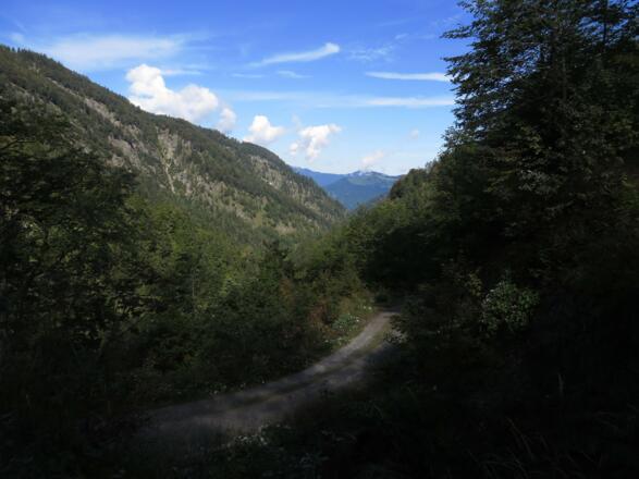 Blick zurück durchs Niederhausertal Richtung Norden
