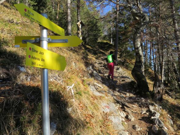An der Weggabelung Eben - Kanzelkehre - Astenau Alm. Wer zu dieser Tour in Eben startet, mündet hier in den Weg, der von der Kanzelkehre kommt.
